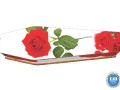 redroses01_page_2